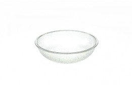 Salad Plastic Bowl 10"