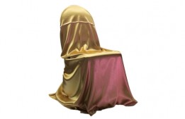 Satin Gold Chair Cover