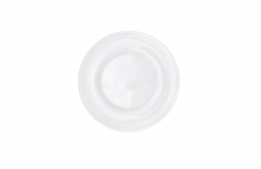 Entree Plate Modern Glass White Rim 6.5"