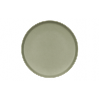 Stoneware Sage Dinner Plate 10.5"